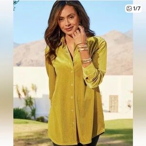 SOFT SURROUNDINGS Amber Green Velvet Textured Boyfriend Button Up Shirt Size M